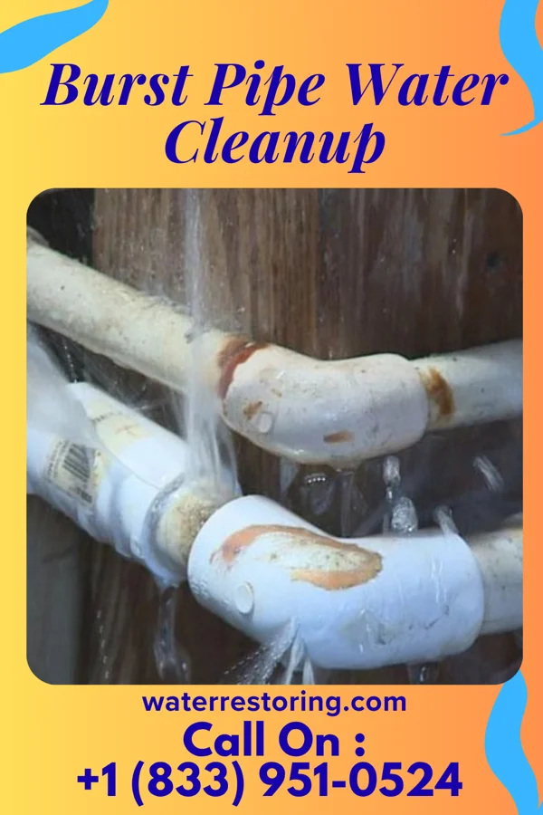 Burst Pipe Water Cleanup in Melody Hill, IN