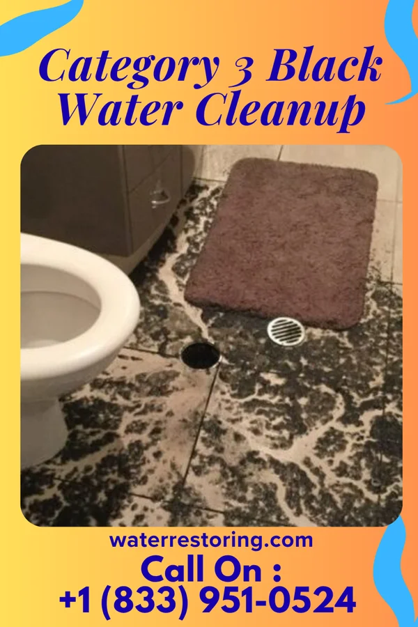 Category 3 Black Water Cleanup in Melody Hill, IN