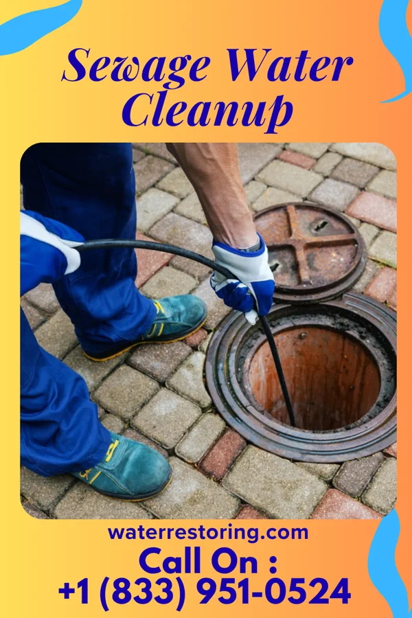 Sewage Water Cleanup in Melody Hill, IN